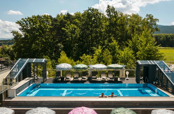 Dachpool im hundefreundlichen Hotel "Spirit & SPA Birkenhof am Elfenhain"