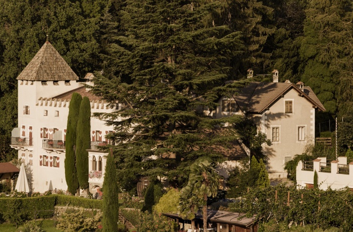 Charmantes Schloss mit Turm und roten Fensterläden, eingebettet in grüne Gärten und Weinreben, umgeben von hohen Bäumen.