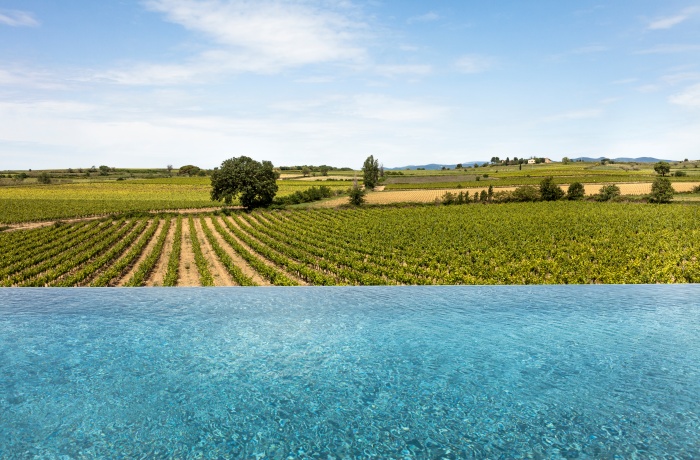 Blick von einem Pool auf weite Weinberge unter blauem Himmel, mit einzelnen Bäumen und sanften Hügeln in der Ferne.