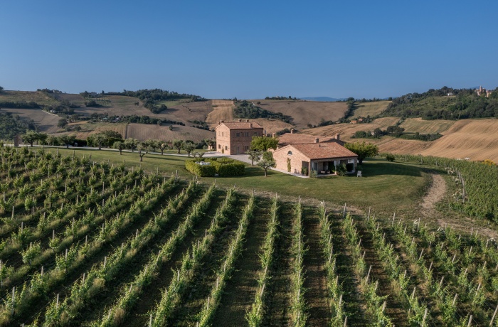 Weingut Hotels: Weingut mit zwei Landhäusern aus Stein inmitten von Weinbergen, umgeben von sanften Hügeln unter klarem blauem Himmel.