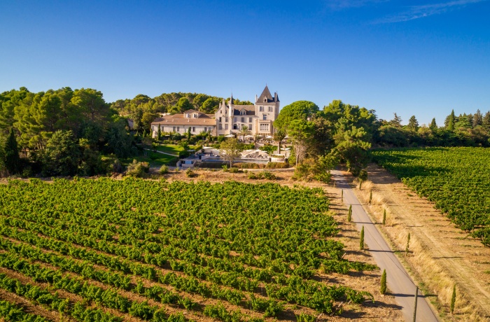 Weingut Hotels: Luftaufnahme eines Schlosses im Landhausstil, umgeben von Weinbergen und Bäumen, unter klarem blauem Himmel.
