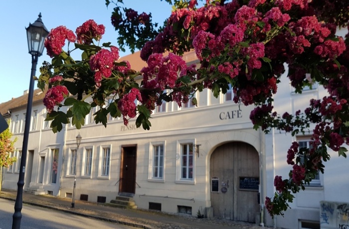 Blick auf die Fassade der alten Lebkuchenfabrik, im Vordergrund hängen pinke Blüten.