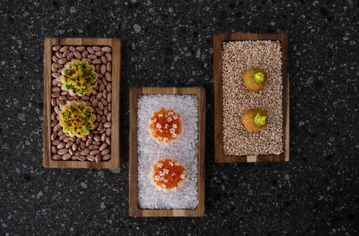 Drei kunstvoll präsentierte Gourmet-Häppchen auf Holzplatten, angerichtet auf Bohnen, Salz und Getreidekörnern, als kreative Vorspeisenkomposition.