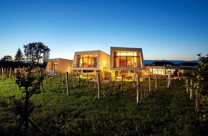 Futuristisches Desin inmitten von Weinbergen