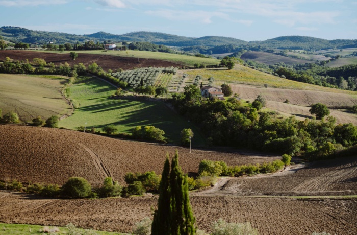 Sanft geschwungene Hügellandschaft mit Feldern, Olivenhainen und vereinzelten Häusern inmitten grüner und brauner Flächen.