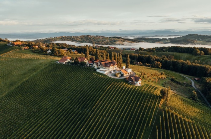 Weingut Hotels: Luftaufnahme eines Weinguts, umgeben von weitläufigen Weinbergen, mit sanften Hügeln und morgendlichem Nebel im Hintergrund.