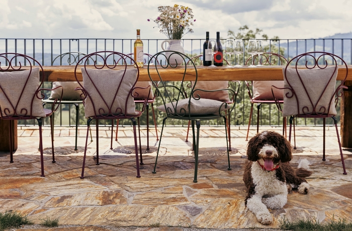Das Gastgeberpaar der Chalets Am Wildbachberg, Günter und Johanna, besitzen selbst Hunde