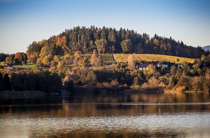 Weingut Hotels in Österreich: Blick über einen ruhigen See auf eine bewaldete Anhöhe mit Weinbergen und verstreuten Häusern im warmen Abendlicht.