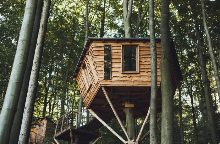 Baumhaus aus Holz auf Stelzen im Wald, erreichbar über eine Treppe und umgeben von dichter Natur.
