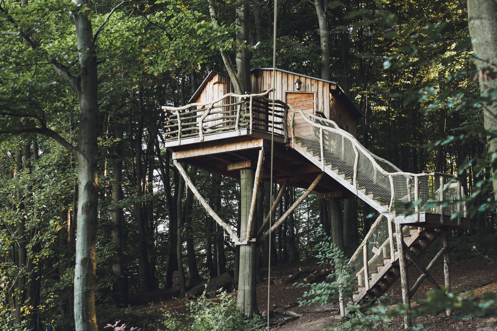 Blick auf eine Baumhaus-Suite im Baumhaushotel "Robins Nest" in Hessen