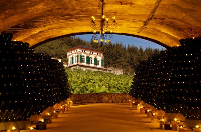 Weingut Hotels: Weinkeller mit Reihen gelagerter Flaschen.