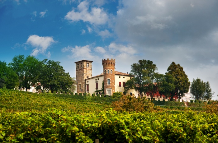 Historisches Schloss mit Rundturm auf einem Hügel, umgeben von grünen Weinreben und Bäumen unter leicht bewölktem Himmel.