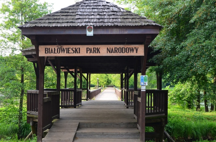 Ein echter Geheimtipp: Eingang des Białowieża-Urwalds in Polen