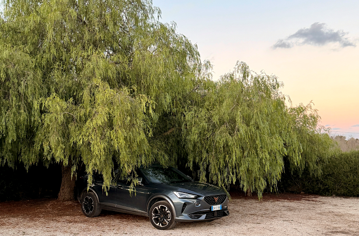 Ein anthrazitfarbener Cubra Hybrid steht unter einem Weidenbaum