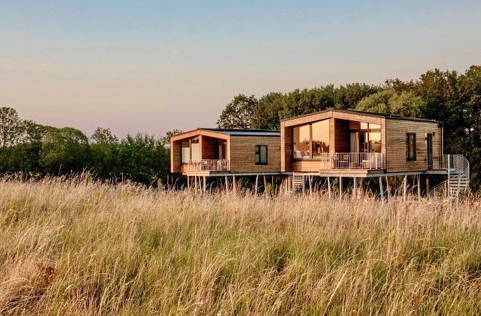 Übernachten im Baumhaus: Das Ostsee Baumhaushotel in Wangels