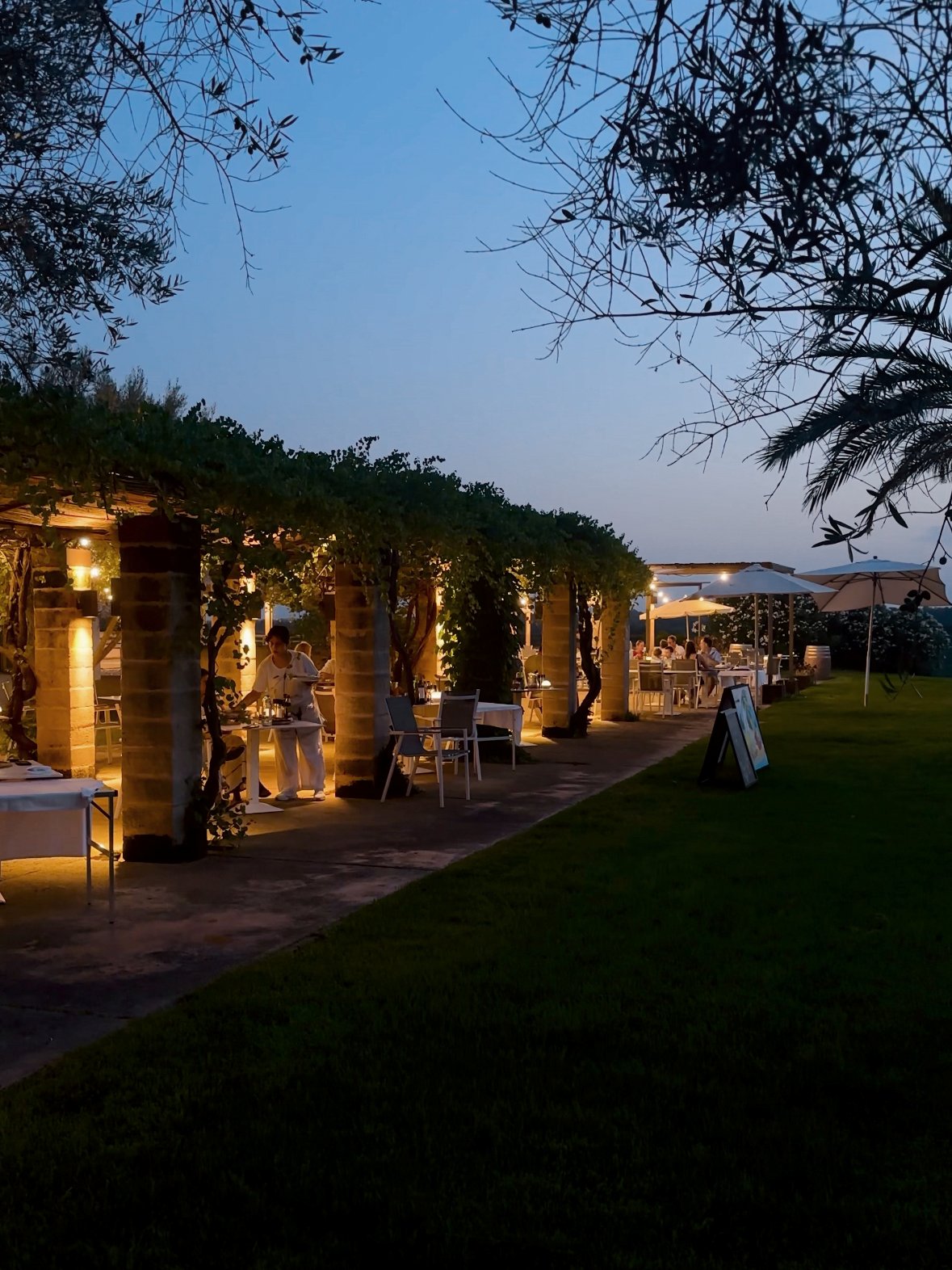 Romantische Abendstimmung unter einer beleuchteten und grün bewachsenen Pergola.