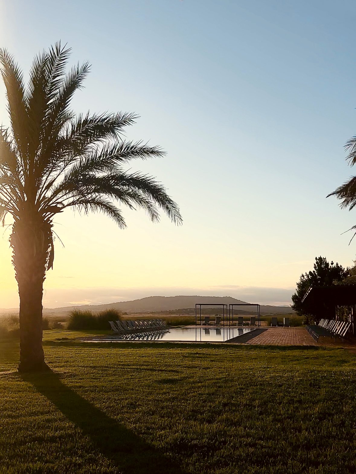 Mallorca im Sommer: Abendstimmung auf dem Hotelgelände, eine Palme säumt den linken Bildrand, im Hintergrund sieht man den Pool des Hauses