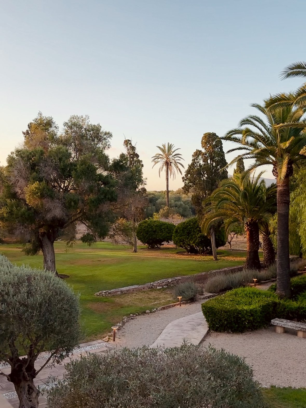 Mallorca im Sommer - umso schöner, wenn das eigene Hotel einen so großen und paradiesischen Garten mit Palmen und Bäumen hat