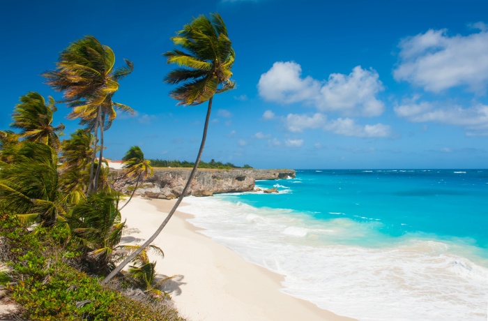 Bottom Bay auf Barbados mit Palmen – einer der schönsten Sandstrände der Karibikinsel