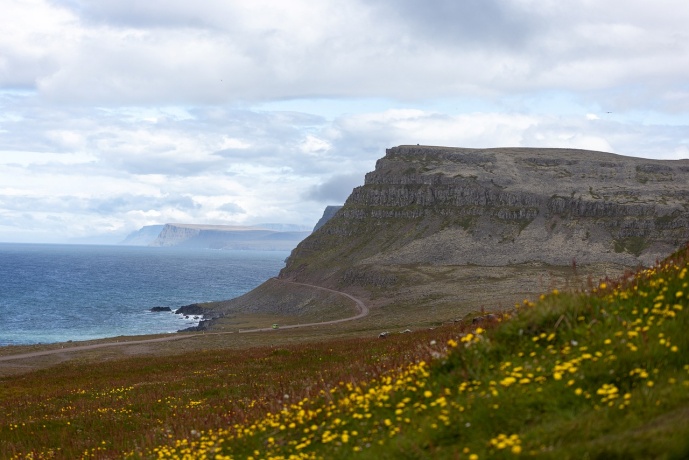 Eine der steilen Küsten an den Westfjorden, ein absoluter Geheimtipp auf Island.