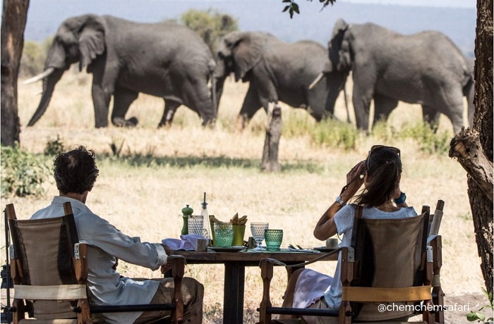 Safari in Tansania: Touristenpaar sitzt an schön gedecktem Tisch und beobachtet Elefantenherde beim Vorüberziehen