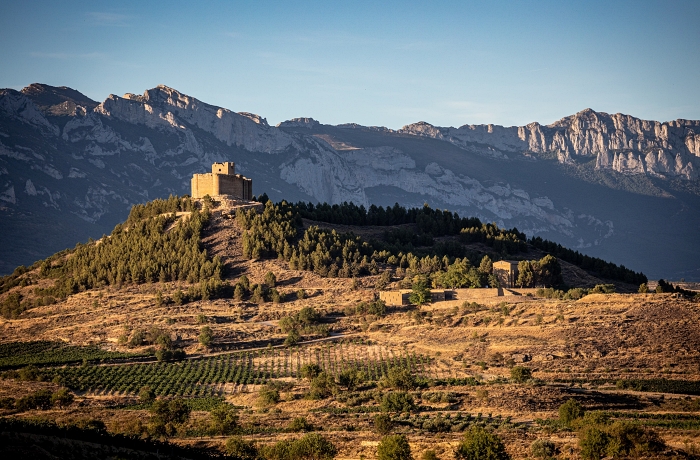 Weinlandschaft Rioja