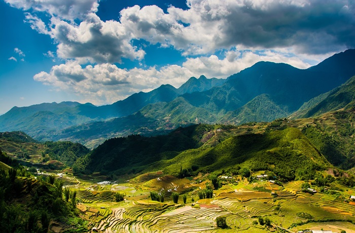 Reisfelder in Sapa