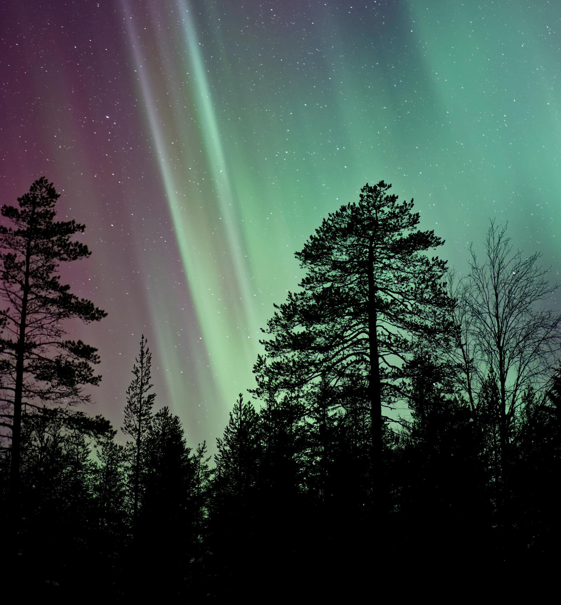Definitiv ein Punkt für die Bucket List: Nordlichter über Finnland beobachten